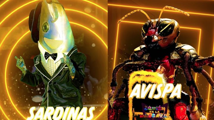 '¿Quién es la máscara?': Sardinas y Avispa revelan su identidad y dejan en shock a Televisa
