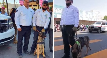 Por primera vez, Guaymas contará con una unidad canina de búsqueda y rescate
