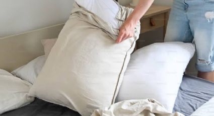 ¿Con qué frecuencia debes cambiar la funda de tu almohada? Al no hacerlo pueden brotarte granitos