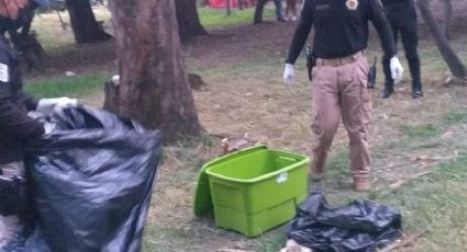 Ya son 20 las víctimas del asesino de perros en el Bosque de Nativitas, en Xochimilco