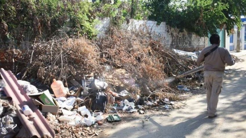 Fumigan Acapulco, Guerrero para evitar brote de dengue tras paso del huracán 'Otis'