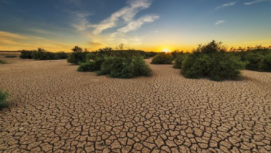 Sonora, en el foco rojo del cambio climático: Sequías, calor y crisis de agua, los ejemplos