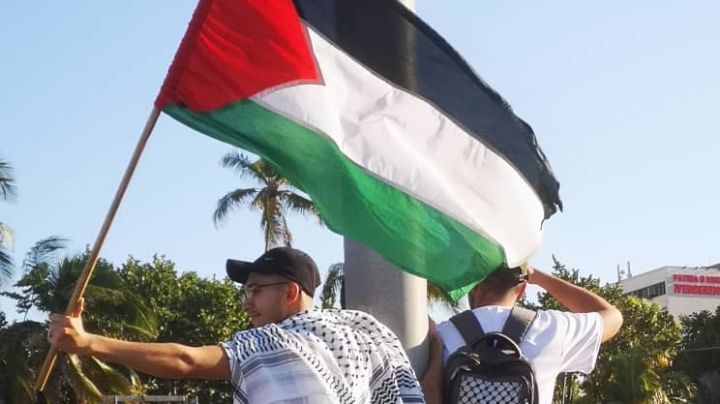 Día Internacional de Solidaridad con el Pueblo Palestino: ¿Por qué es el 29 de noviembre?