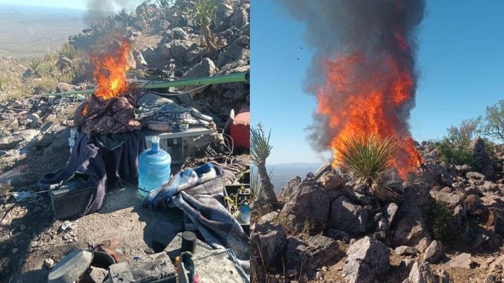 Golpe al crimen: Mesa Estatal de Seguridad destruye 'narcocampamentos' en Caborca, Sonora
