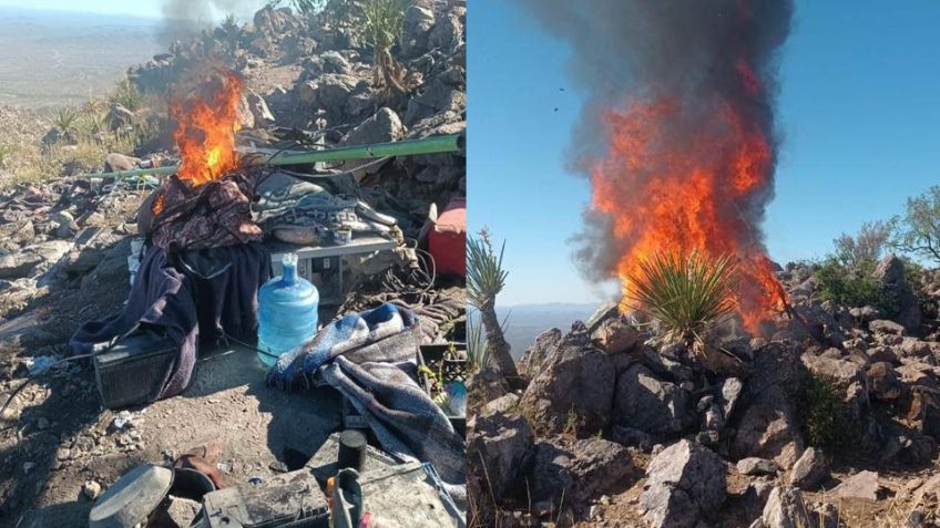 Golpe al crimen: Mesa Estatal de Seguridad destruye 'narcocampamentos' en Caborca, Sonora