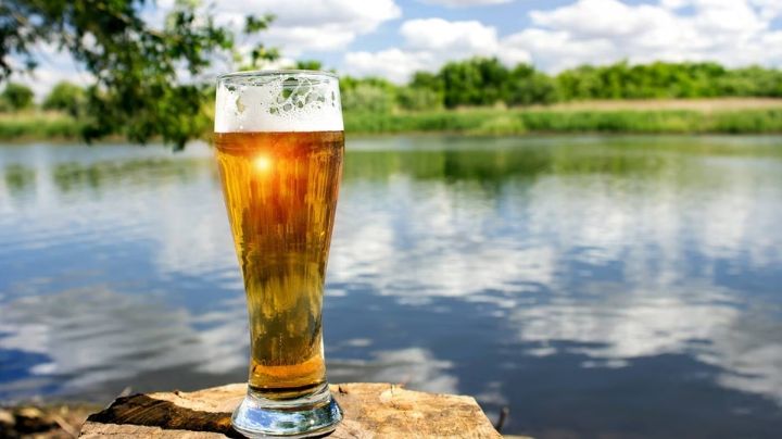 Cuidado del agua, clave en la industria cervecera: Constellation Brands aplica estos métodos