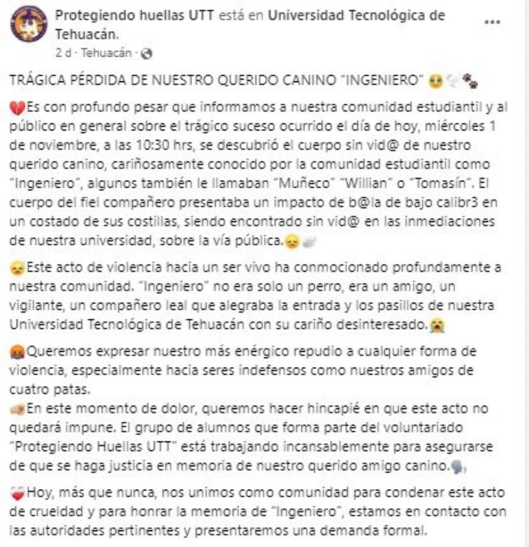 'Ingeniero' es hallado sin vida en la UTT, Puebla