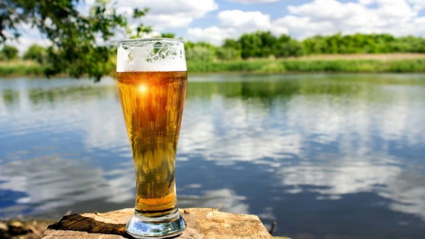 Cuidado del agua, clave en la industria cervecera: Constellation Brands aplica estos métodos