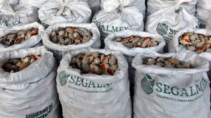 Hong Kong incauta cargamento de metanfetamina procedente de México; Segalmex se deslinda