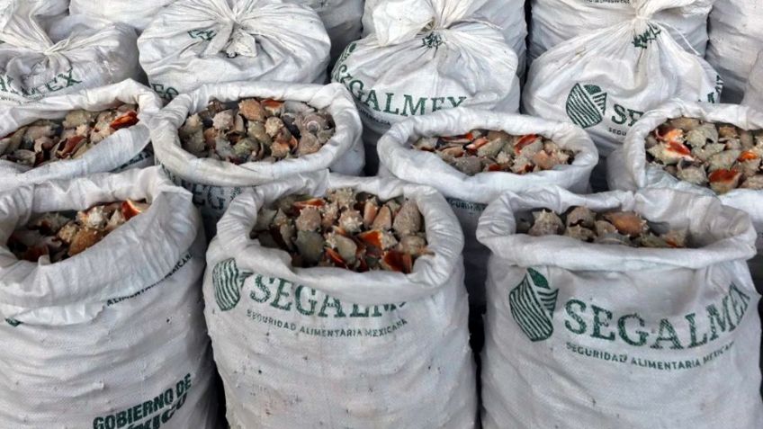 Hong Kong incauta cargamento de metanfetamina procedente de México; Segalmex se deslinda