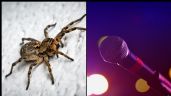 Luto en la música: Afamado cantante muere a sus 28 años; una araña lo picó en el rostro