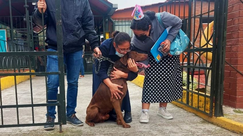 Ya está en casa: Evitan que Goliat sea sacrificado por morder a personas en Veracruz