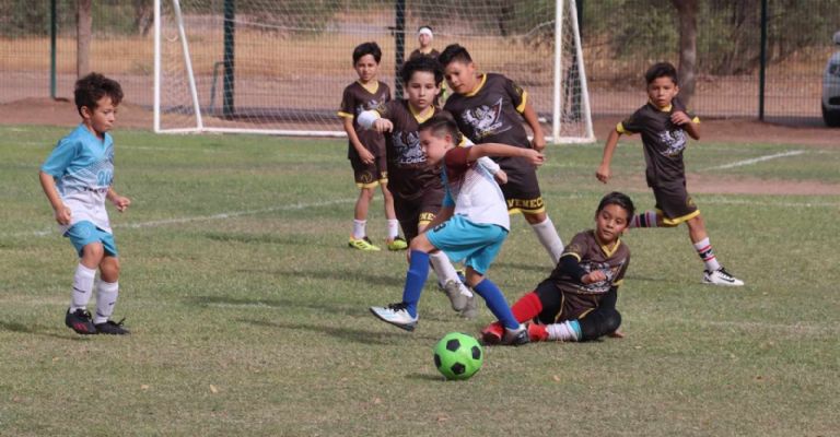 Colegio Venecia partidos