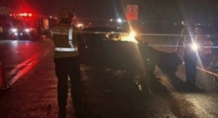 Trágico desenlace en la autopista: Jóvenes pierden la vida al intentar evitar asalto