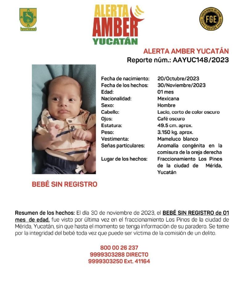 Raptan a gemelos recién nacidos