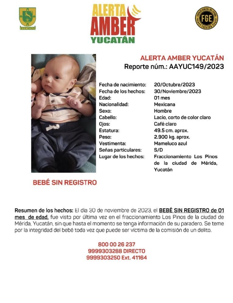 Raptan a gemelos recién nacidos