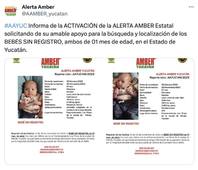 Raptan a gemelos recién nacidos