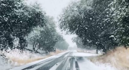 Clima en México 2 de diciembre: el  Frente Frío 13 ocasionará nevadas en el norte y Sonora