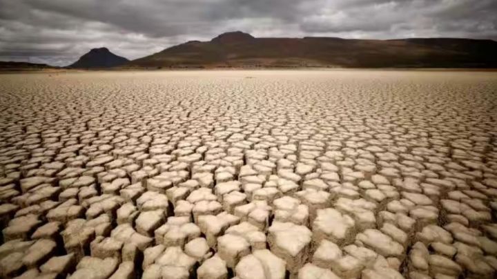 Catástrofe ambiental en Zimbabue: Más de 100 elefantes mueren a causa de las sequías