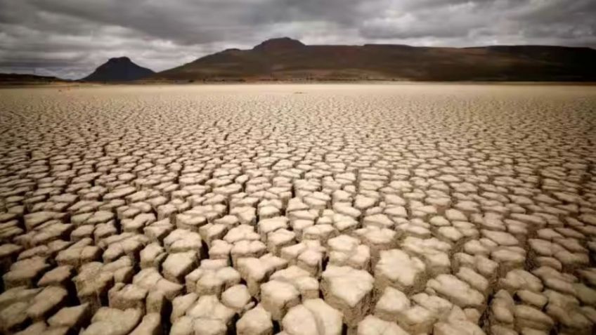 Catástrofe ambiental en Zimbabue: Más de 100 elefantes mueren a causa de las sequías