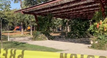 Encuentran el cadáver de un hombre en juegos infantiles del Bosque de Chapultepec; investigan