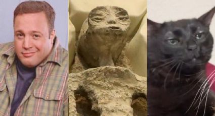 Gatos, aliens y chamba: Ya está aquí la lista de los ocho mejores memes que dejó 2023