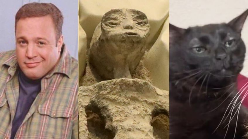 Gatos, aliens y chamba: Ya está aquí la lista de los ocho mejores memes que dejó 2023