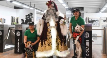 Perritos del Metro de la CDMX se vuelven ayudantes de Santa Claus y de los Reyes Magos