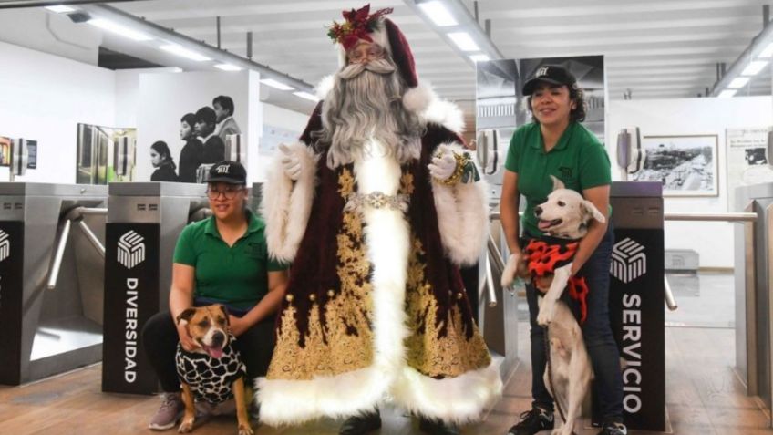 Perritos del Metro de la CDMX se vuelven ayudantes de Santa Claus y de los Reyes Magos