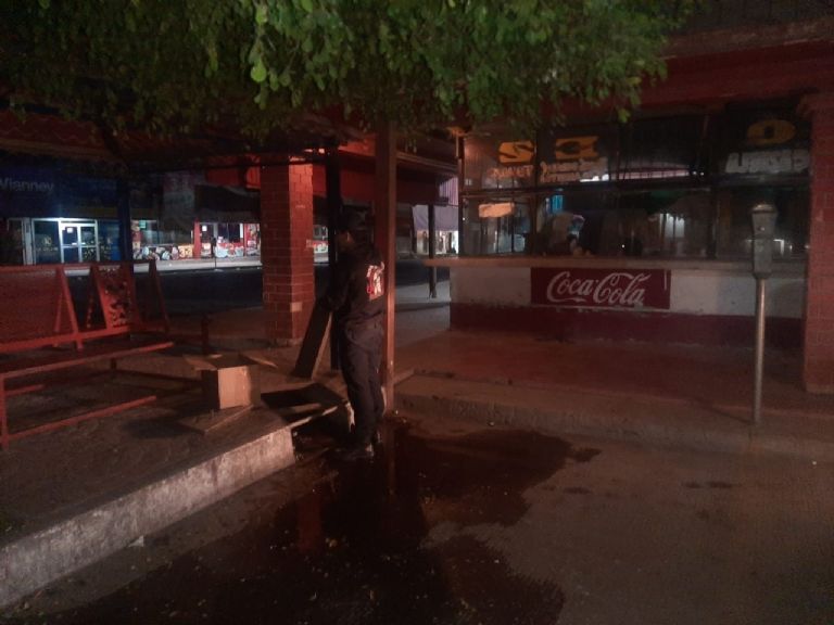 Los animales fueron hallados en una alcantarilla en Navojoa