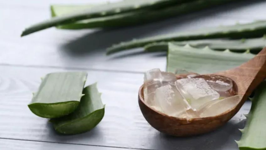 ¿Cuáles son los beneficios del aloe vera para la piel? Aquí los revelamos