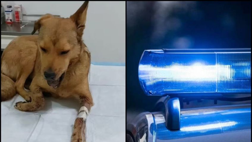 León: Menor quema y fractura la mandíbula de ‘Belén’; denuncian negligencia de la Policía