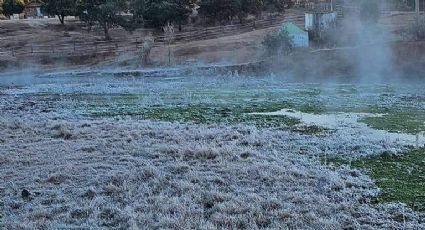 (FOTOS) Frío en Sonora: Yécora amanece congelada y 'vestida de blanco' este domingo
