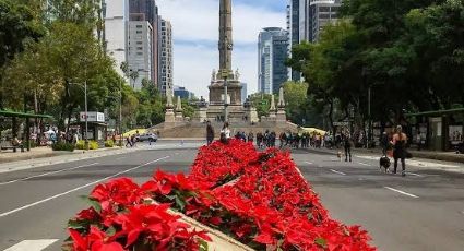 Navidad en CDMX: Anuncian más de 264 actividades para despedir al 2023 en CDMX