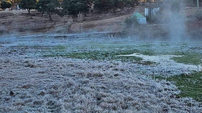 (FOTOS) Frío en Sonora: Yécora amanece congelada y 'vestida de blanco' este domingo