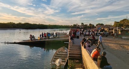 Alerta por ataques de tiburón regresa a las Playas del Sur de Sonora; piden precauciones