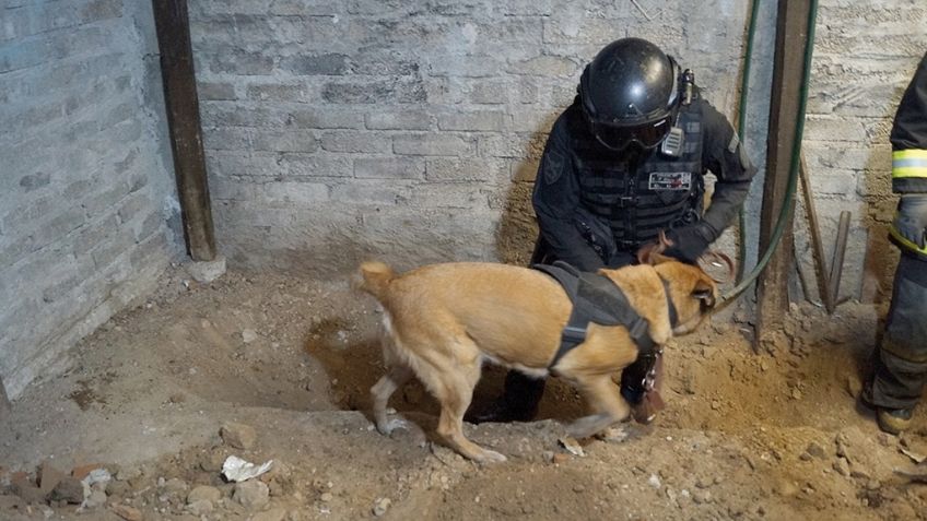 Asesinos seriales en México: 'El caníbal de Atizapán' y 'El monstruo de Ecatepec'