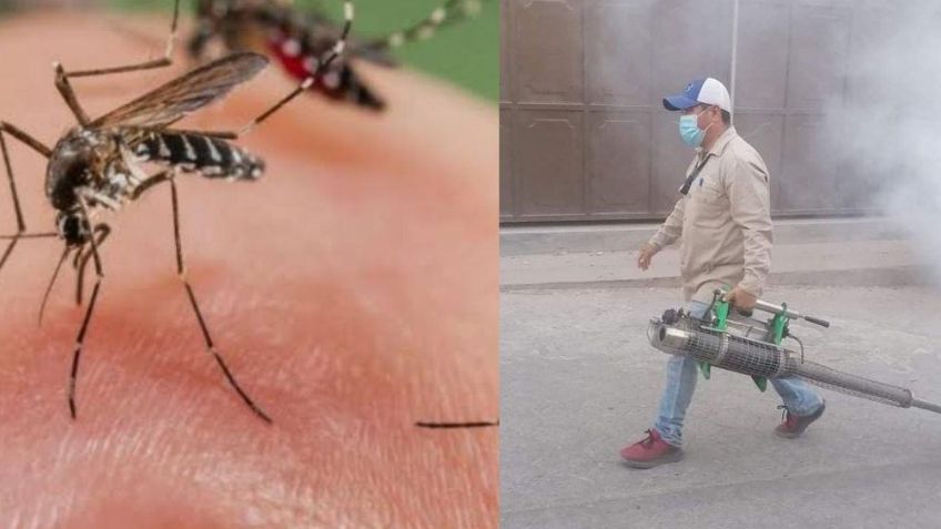 Región del Mayo cierra el 2023 con dos defunciones por Dengue; la SSPS habla de los casos