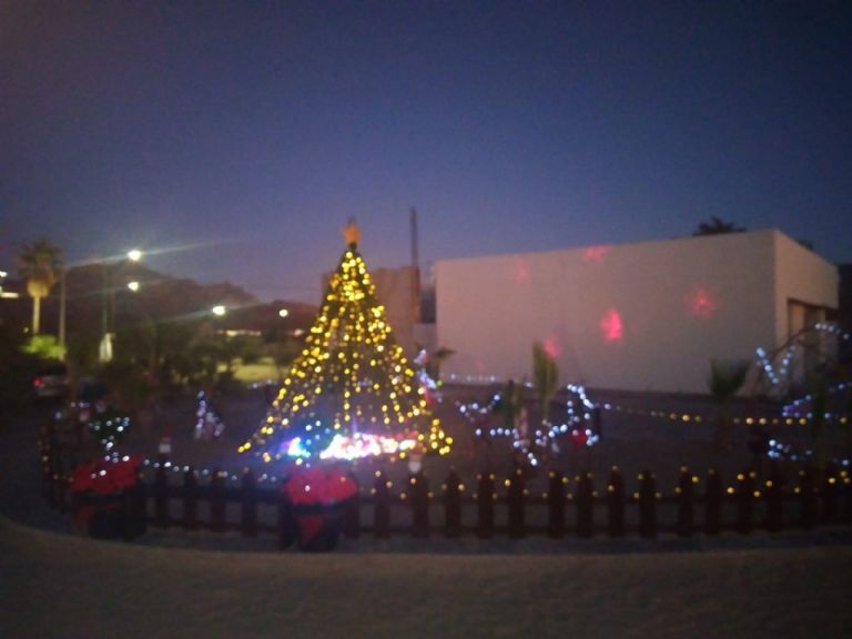 El pino de Navidad adorna la playa Miramar de Guaymas