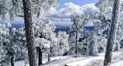Nieve en Sonora: Conoce las ciudades en las que la Navidad se pinta de blanco en el estado