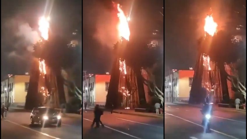 ¿Adiós a la Navidad? Se quema árbol de 10 metros en Tlalnepantla; culpan a corto circuito