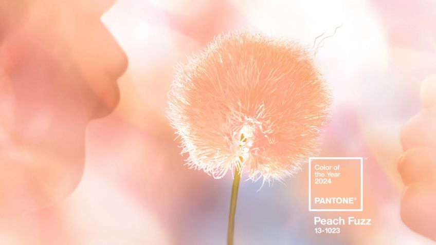 'Peach fuzz': Este es el color tierno y suave que va a reinar en 2024, según Pantone
