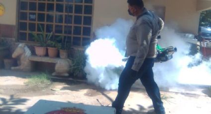 Colonia Constitución en Navojoa pide fumigación contra los moscos