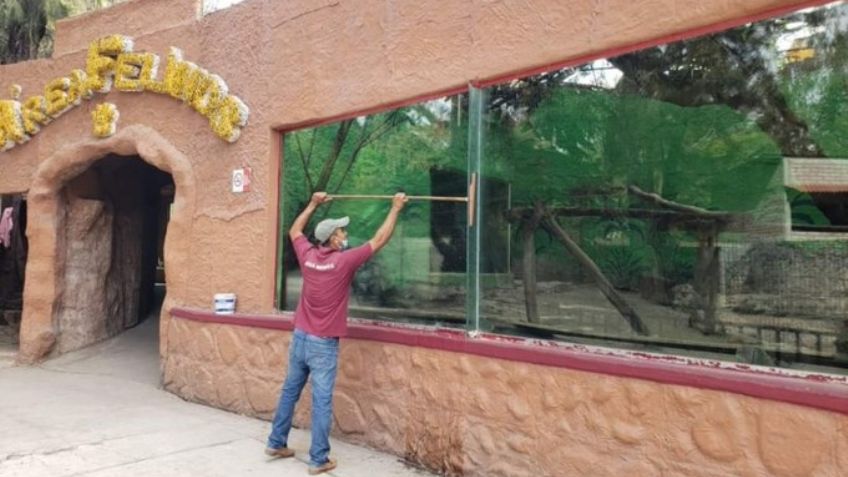De no creer: Zoológico de Guerreo sacrificó animales para la cena de Año Nuevo; las hicieron barbacoa