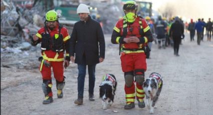 Terremoto en Turquía: Militares y binomios caninos mexicanos han rescatado a 4 personas con vida