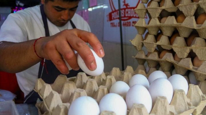 ¡Por las nubes! Kilo de huevo llega a los 60 pesos en estos estados; ANPEC confirma el dato