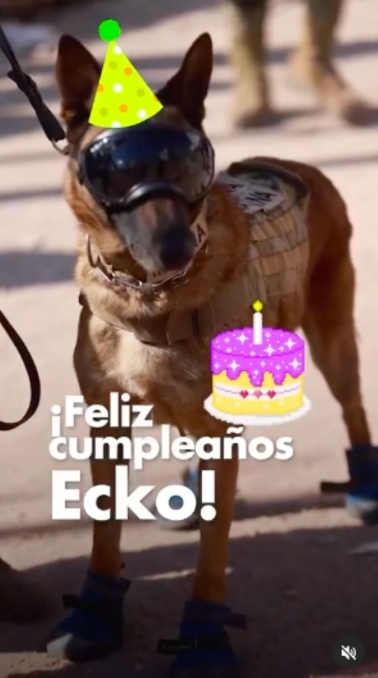 Cumpleaños 'Ecko'