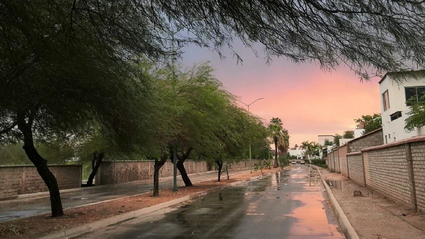 Frente Frío: Tormenta Invernal traerá chubascos y caída de nieve a Sonora hoy lunes 13 de febrero