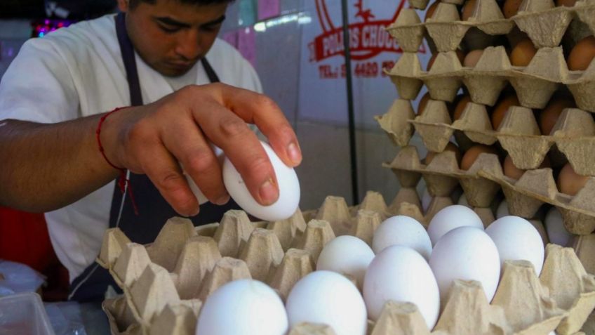 ¡Por las nubes! Kilo de huevo llega a los 60 pesos en estos estados; ANPEC confirma el dato