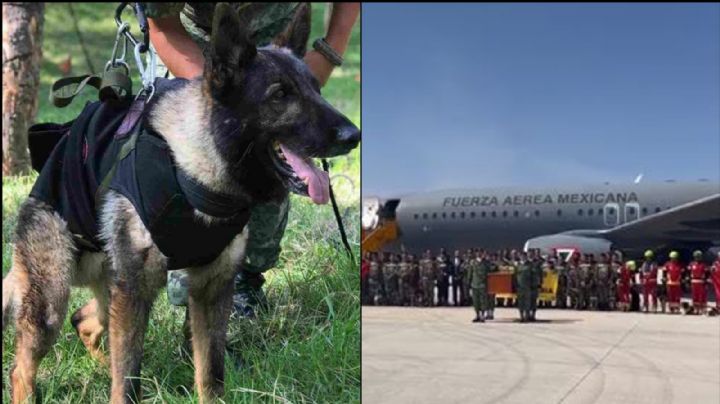 VIDEO: Los restos de 'Proteo' regresan a México; equipo de rescate le rinde magno homenaje